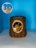 Squirrel Deck Box • 100+ Double‑Sleeved Card Storage • Woodland Fantasy Commander Deck Box