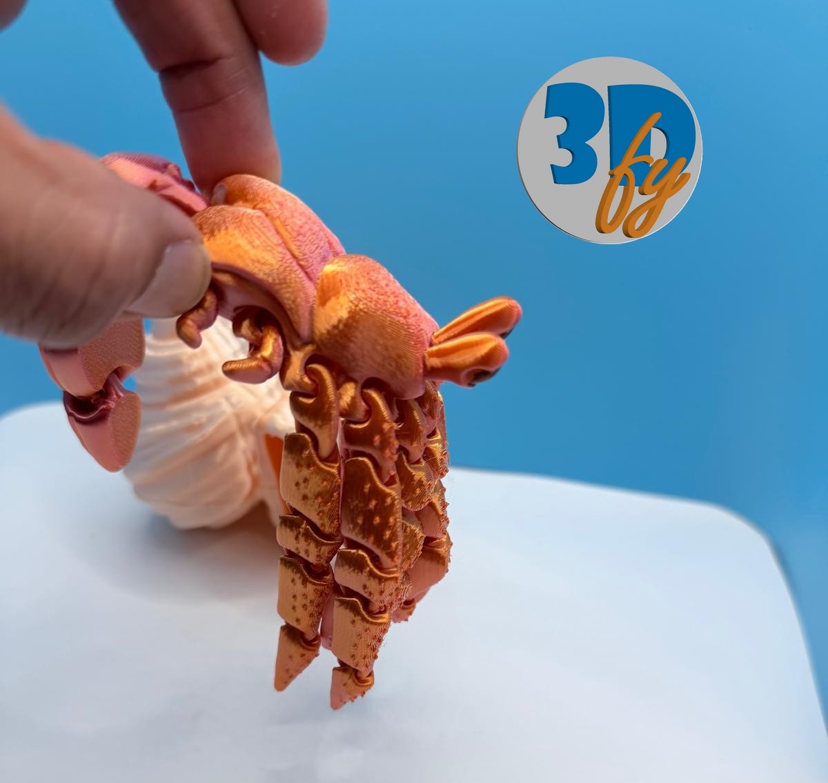 Flexi Hermit with Shell included | Articulated Crab & Shell | Ocean Animal Desk Pet | Fidget Crab Gift | Sea Creature Collectible | Full Set