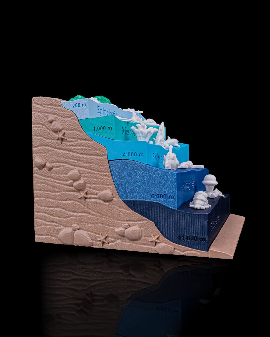 Sea Through – 3D Printed Ocean Depths Display
