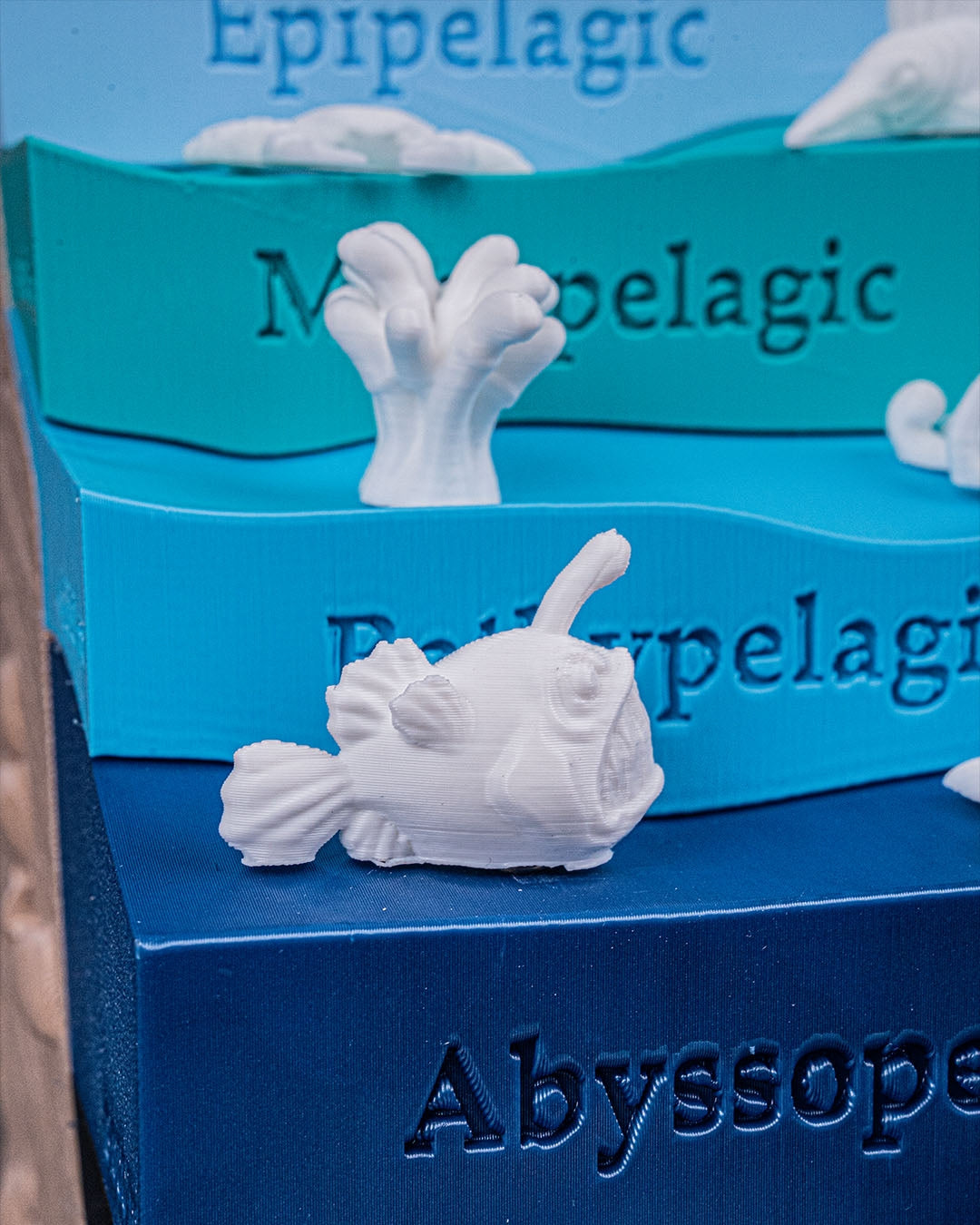 Sea Through – 3D Printed Ocean Depths Display
