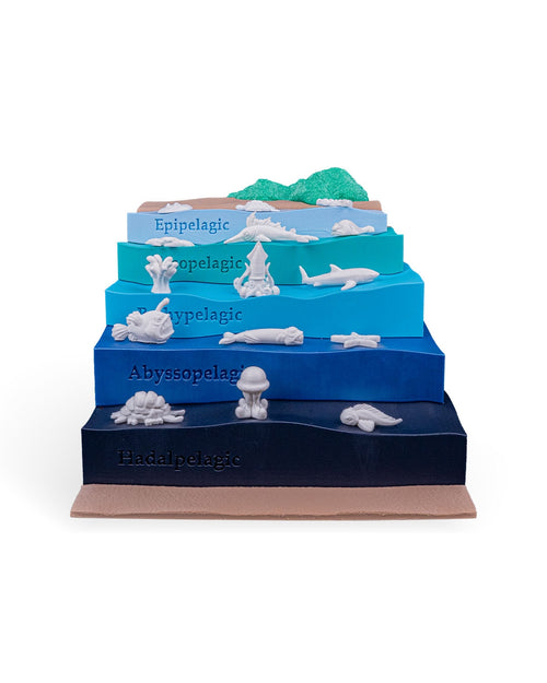 Sea Through – 3D Printed Ocean Depths Display