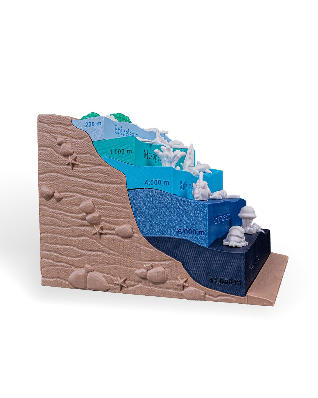 Sea Through – 3D Printed Ocean Depths Display